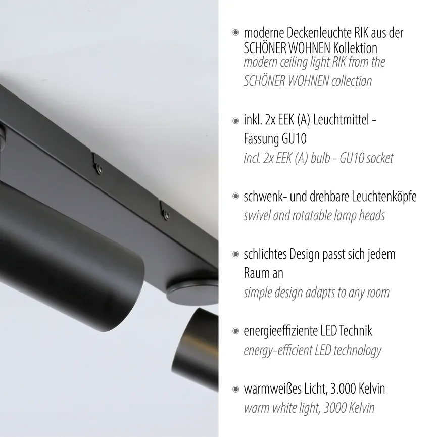 Deckenleuchte "RIK" detail