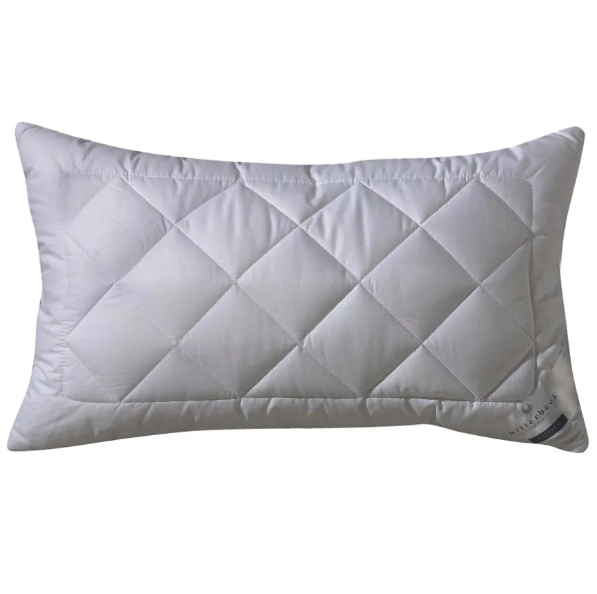 Kissen  Silver F. hauptaufnahme