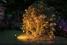 milieu