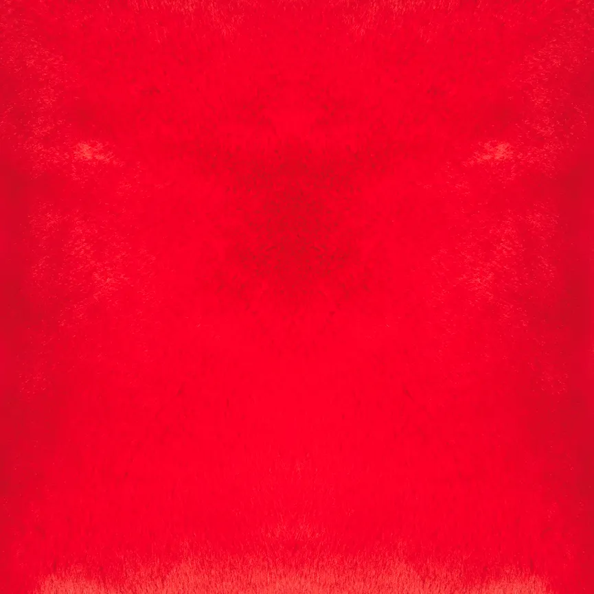 Kissen "Gazelle" red material_farbe