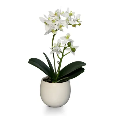 Kunstblume