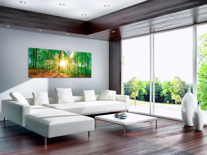 Landschaft Wald grünGreen emot milieu