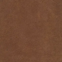 Camel material_farbe