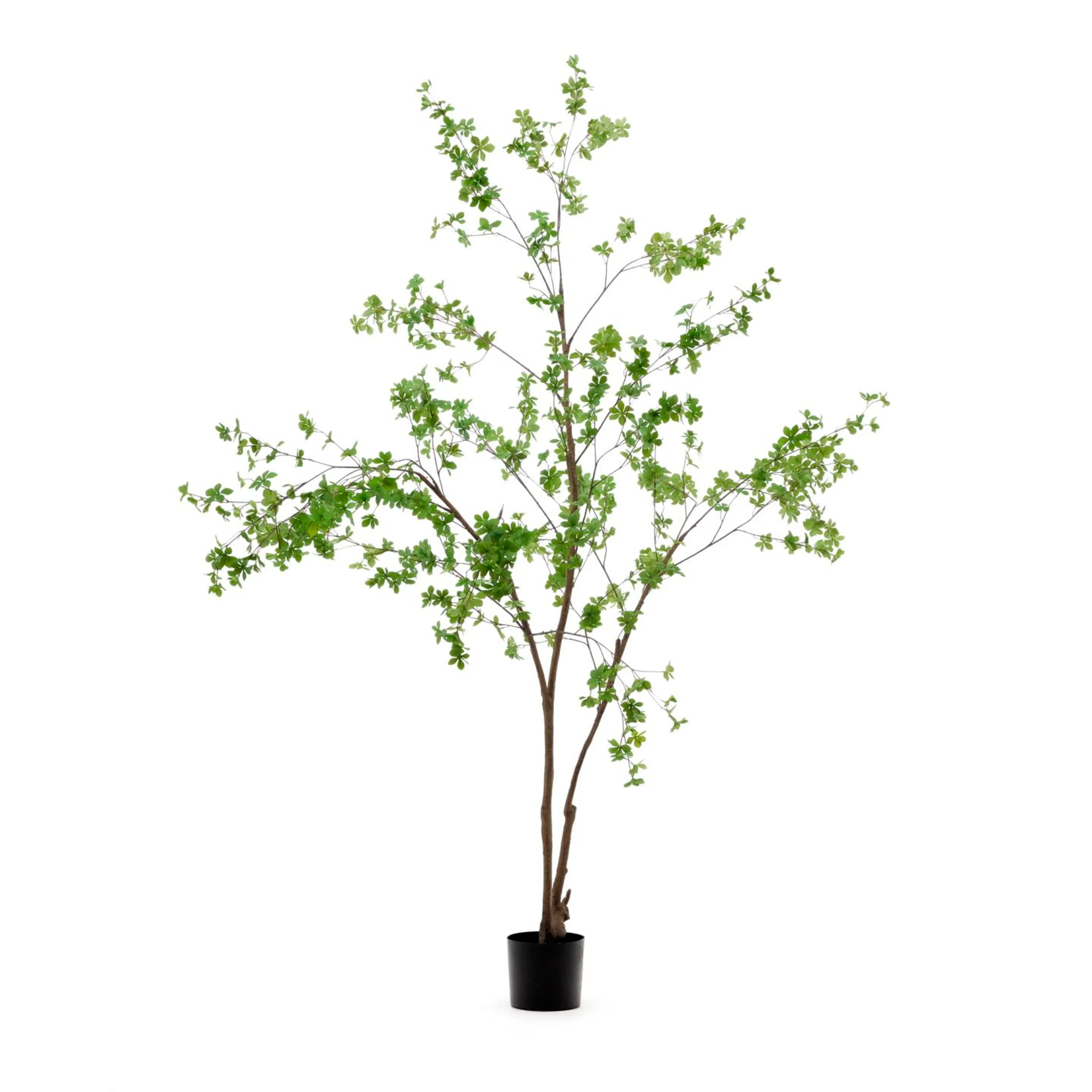 Kunstpflanze Enkianthus