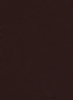 Dunkelbraun material_farbe