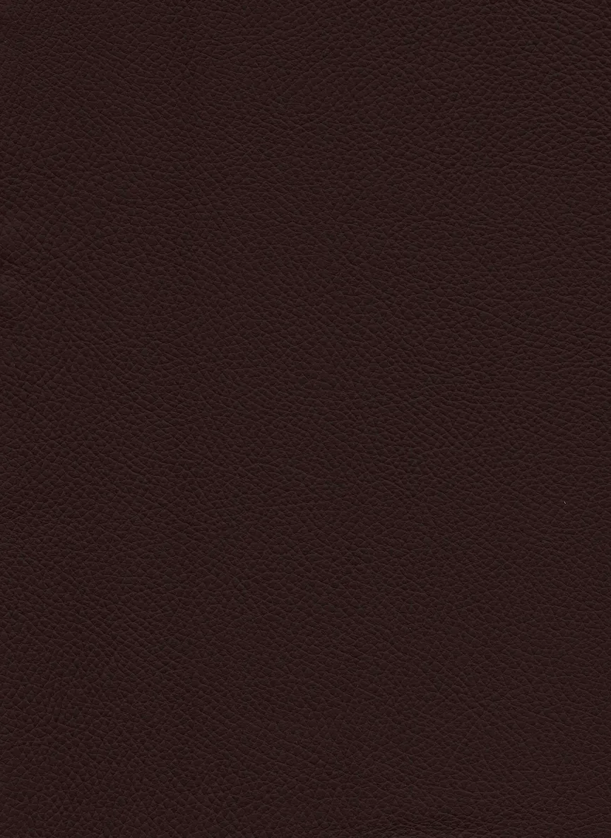 Gerade Bank 11903023 material_farbe
