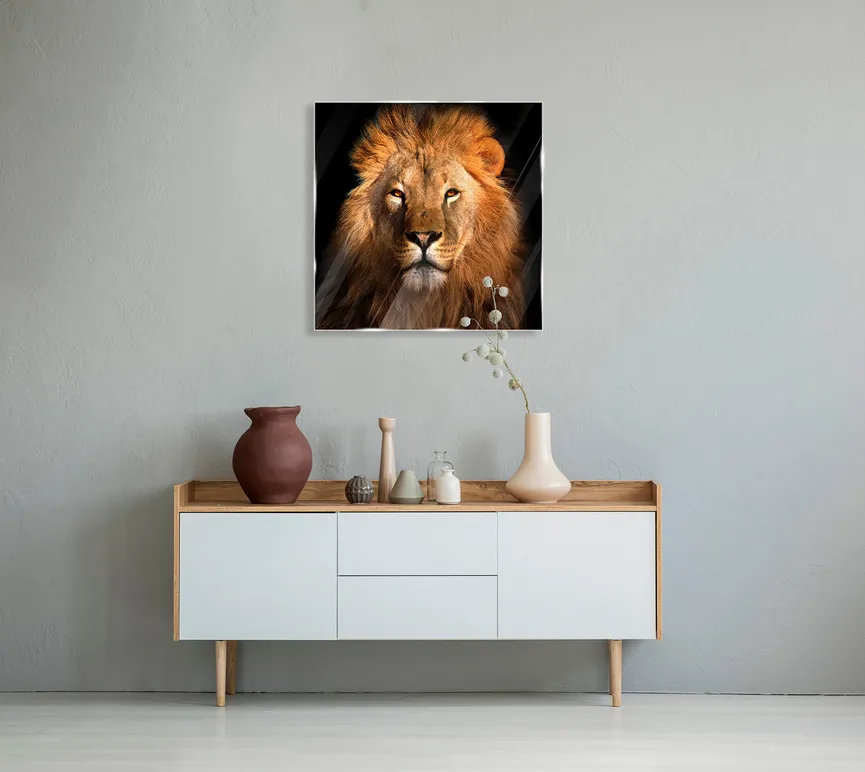 Tiere - Lion II milieu