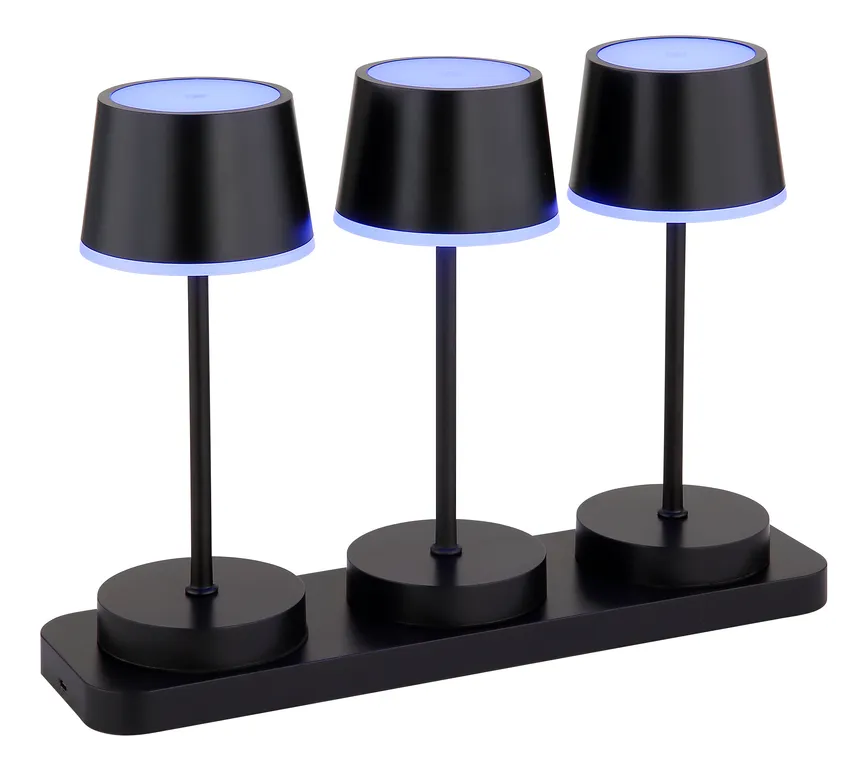 Akku-Tischleuchte "Dawson" detail