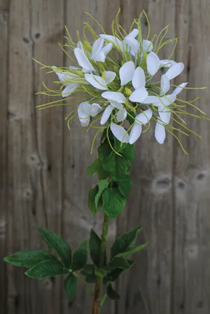 Kunstblume