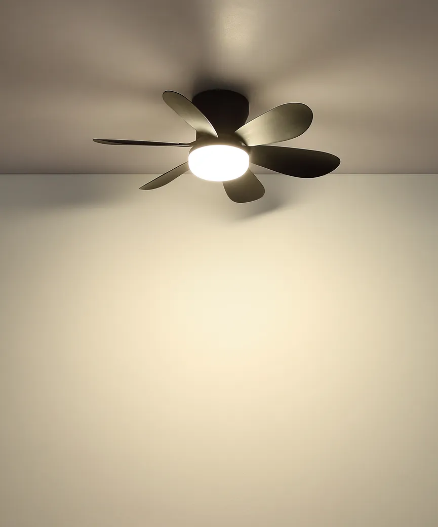 Deckenventilator "Delores" detail
