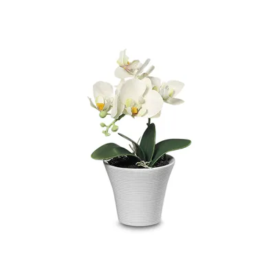 Kunstblume