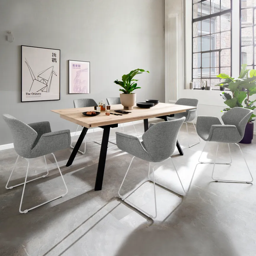 AL-Stuhl Sledge milieu