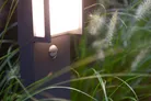 milieu