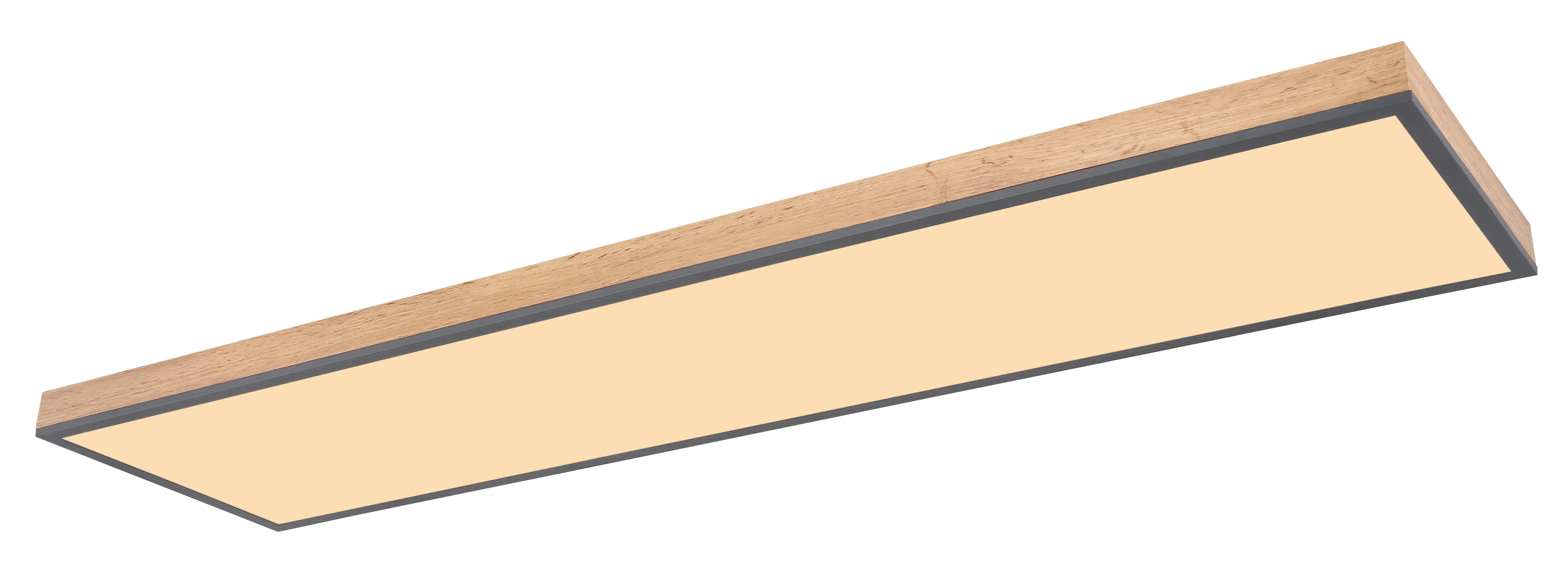 LED-Deckenleuchte Doro