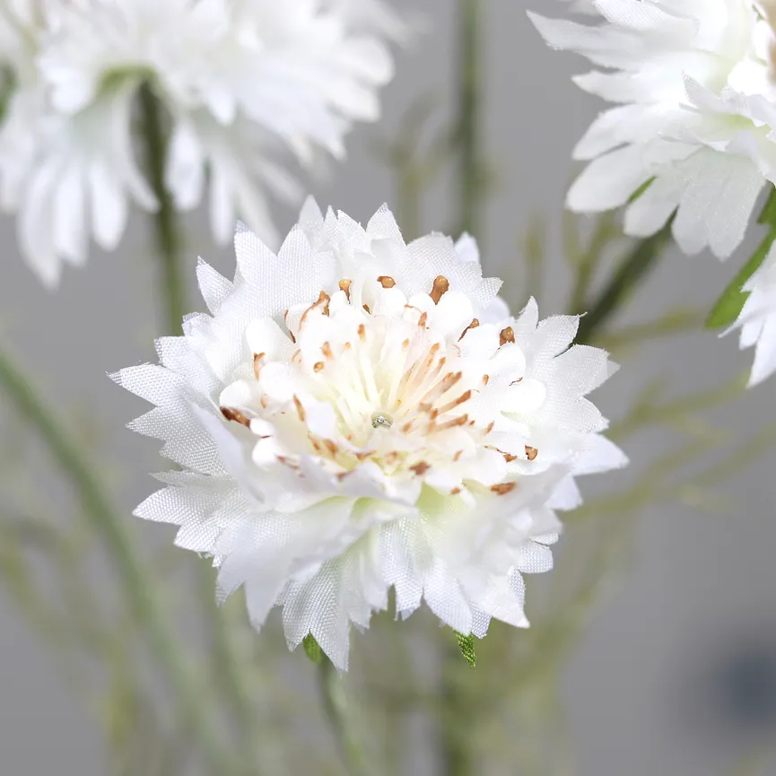 Kornblume creme detail