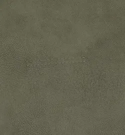 Moos material_farbe