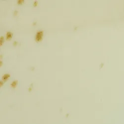 Grün material_farbe