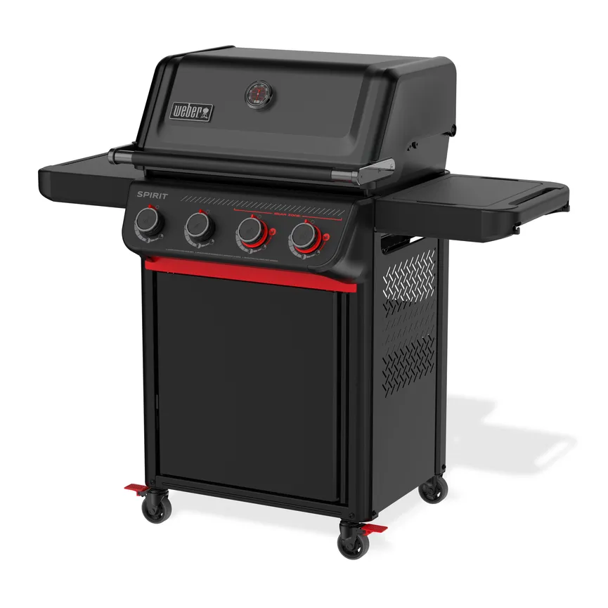 SPIRIT E425C Stealth detail