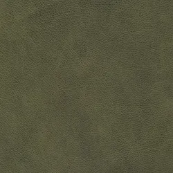 Olive material_farbe