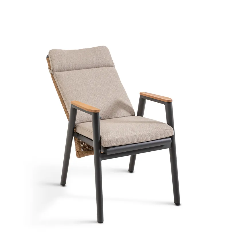 Dining Sessel detail