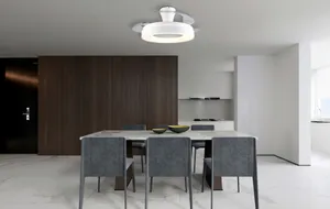Deckenventilator
