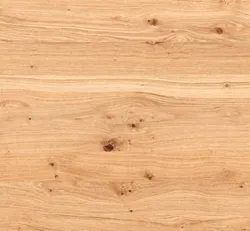 Wildeiche material_farbe