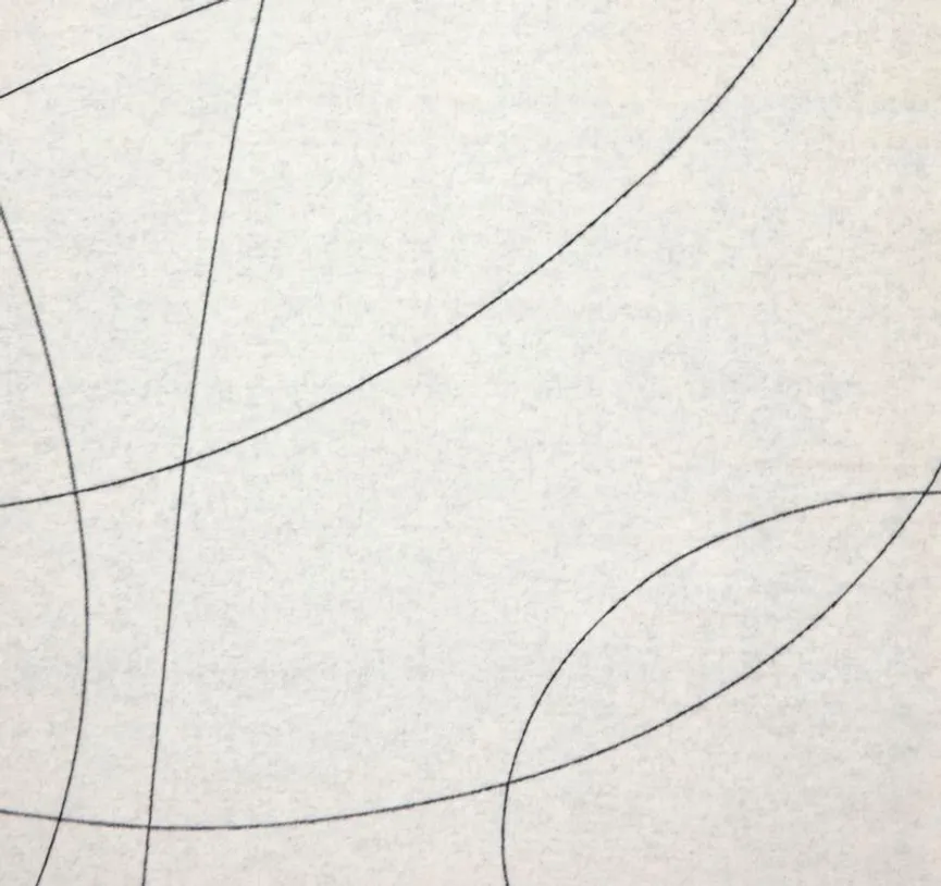 Decke GESCHWUNGENE LINIEN material_farbe