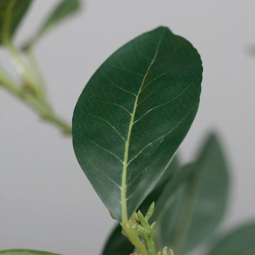 Premium Zitronen-Arrangement detail