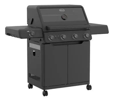 Gasgrill