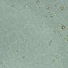 material_farbe