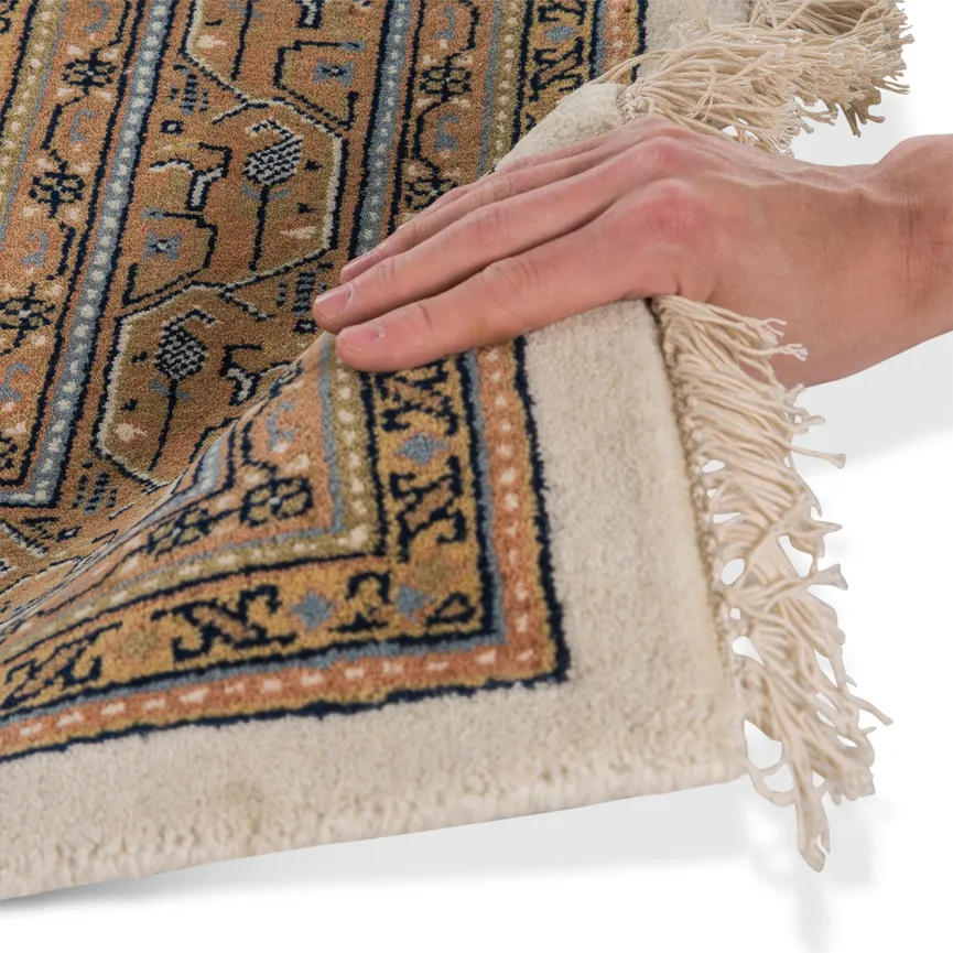 ** Orient detail