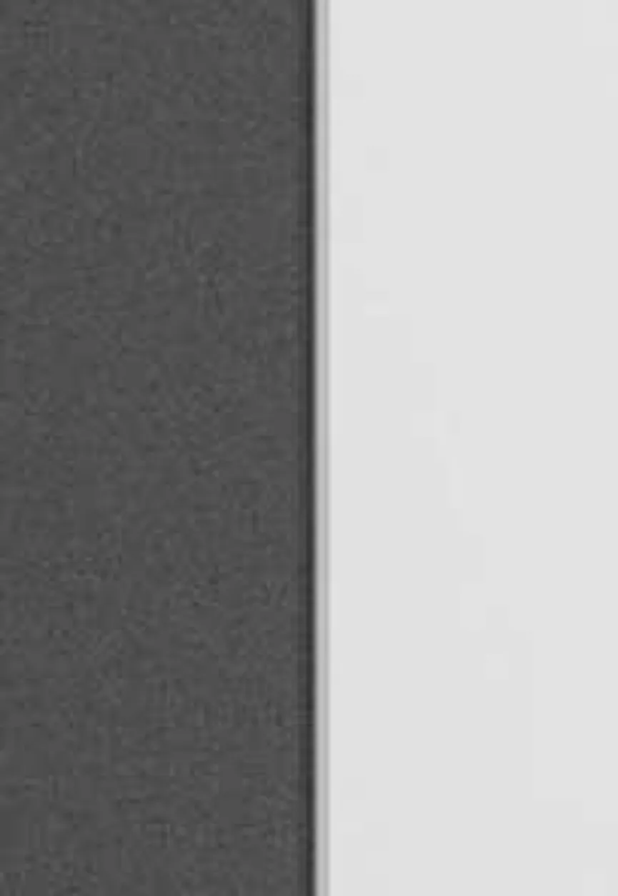 Schrank 2T/H197/Dekor material_farbe