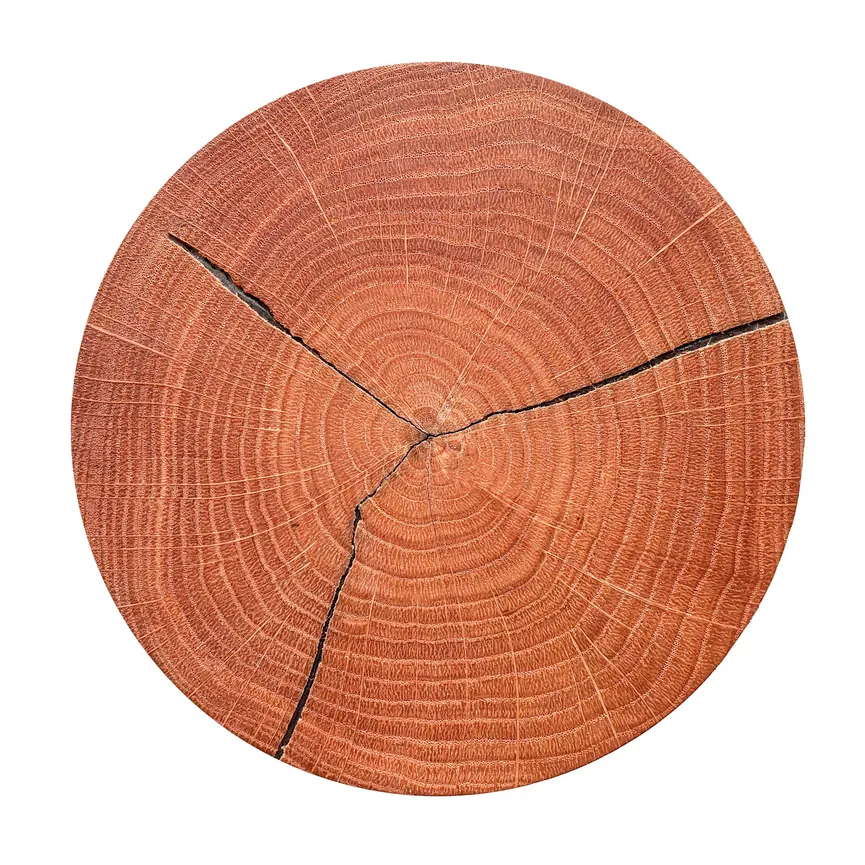 LED-Wandleuchte "Havana" hauptaufnahme