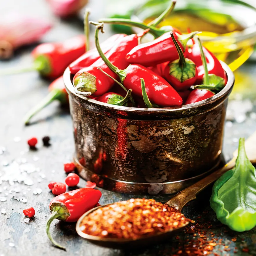 Küche / Kräuter - Herbs and Sp hauptaufnahme