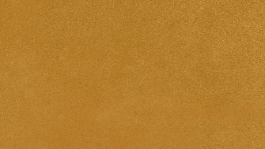 Sofa NL80 material_farbe