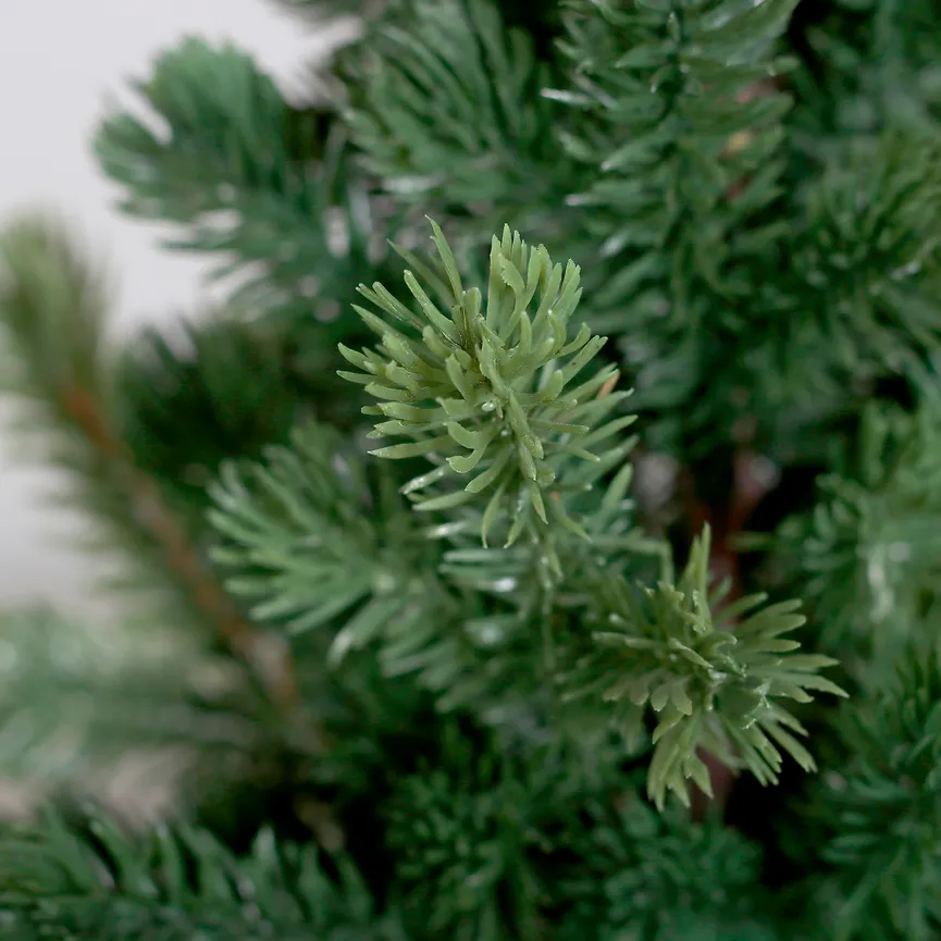 Tannenbaum M detail