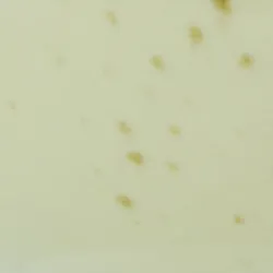 Grün material_farbe