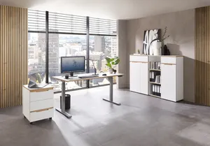 Schreibtisch elektrisch