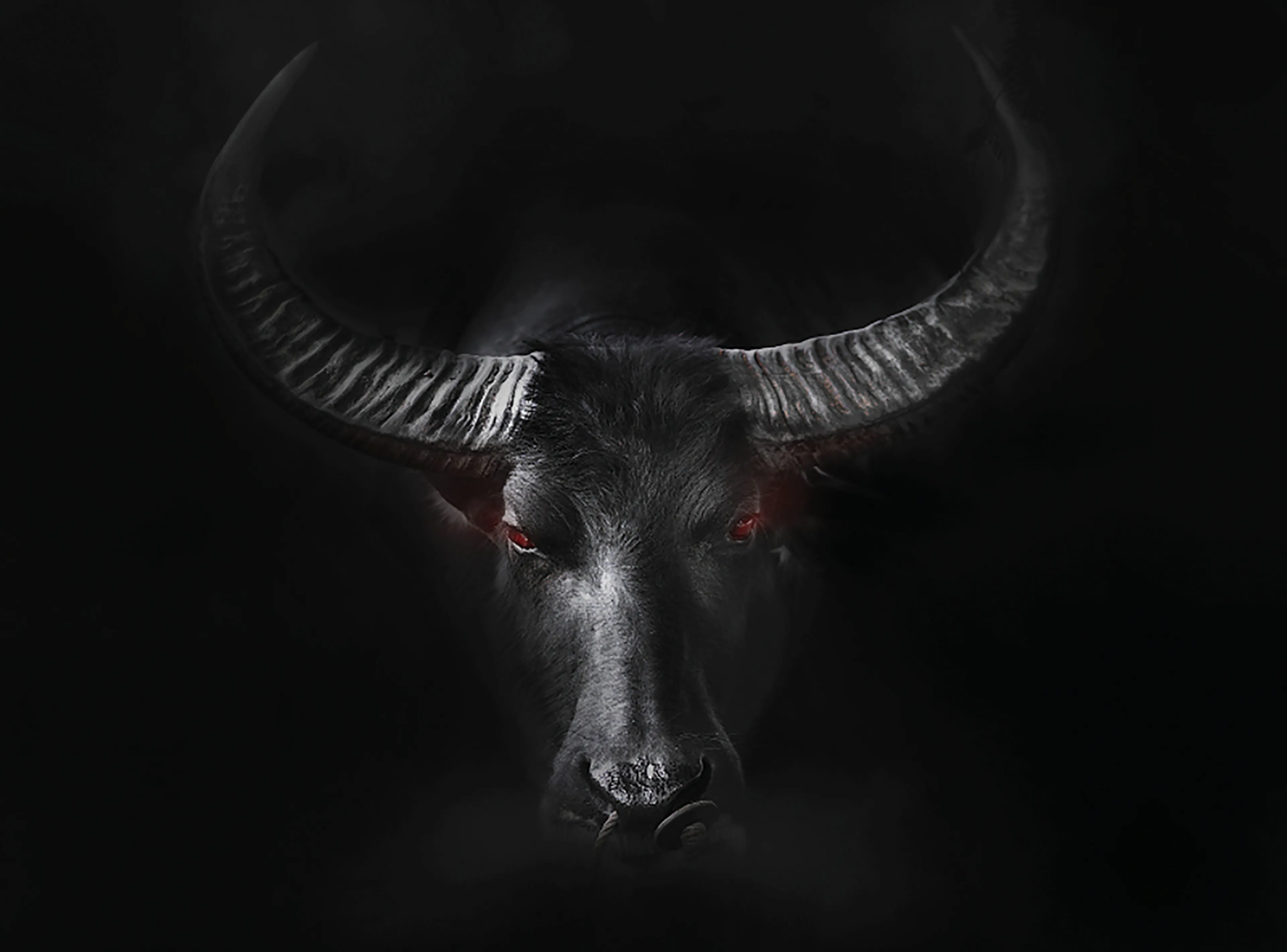 Wandbild 100 x 135 cm Black Taurus