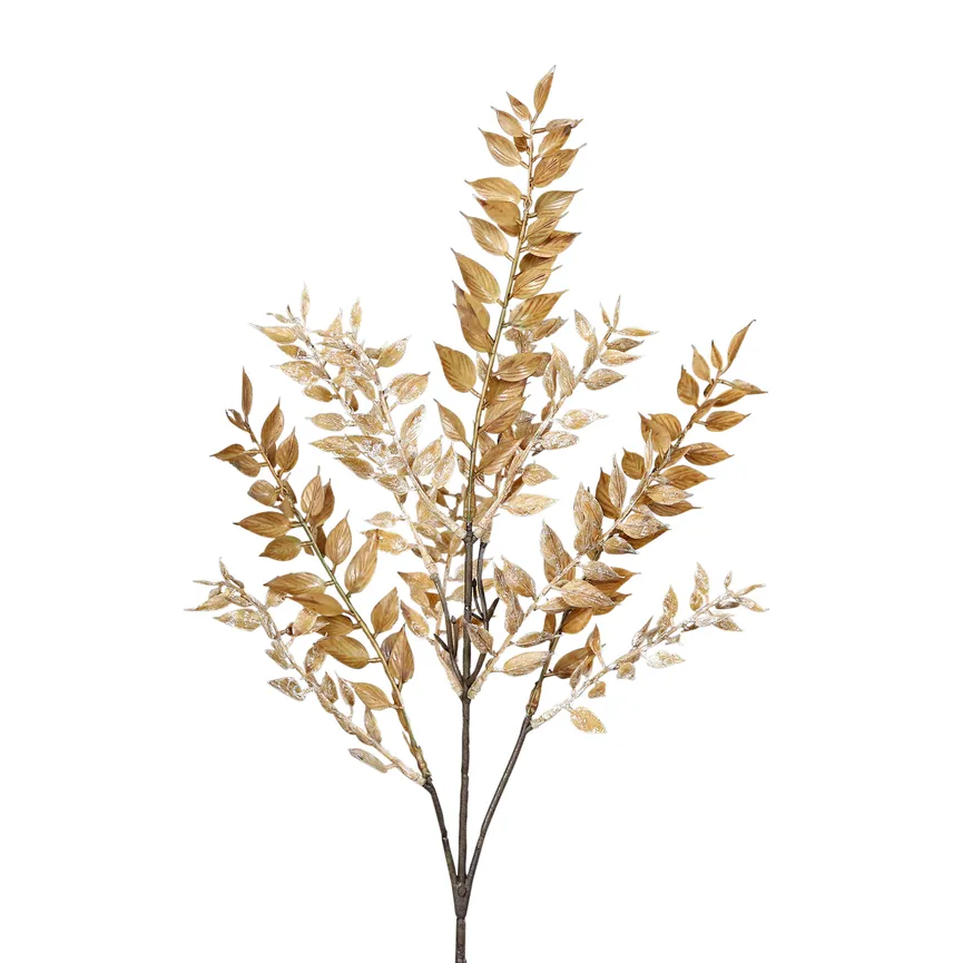 Ruscus Zweig cappucino hauptaufnahme