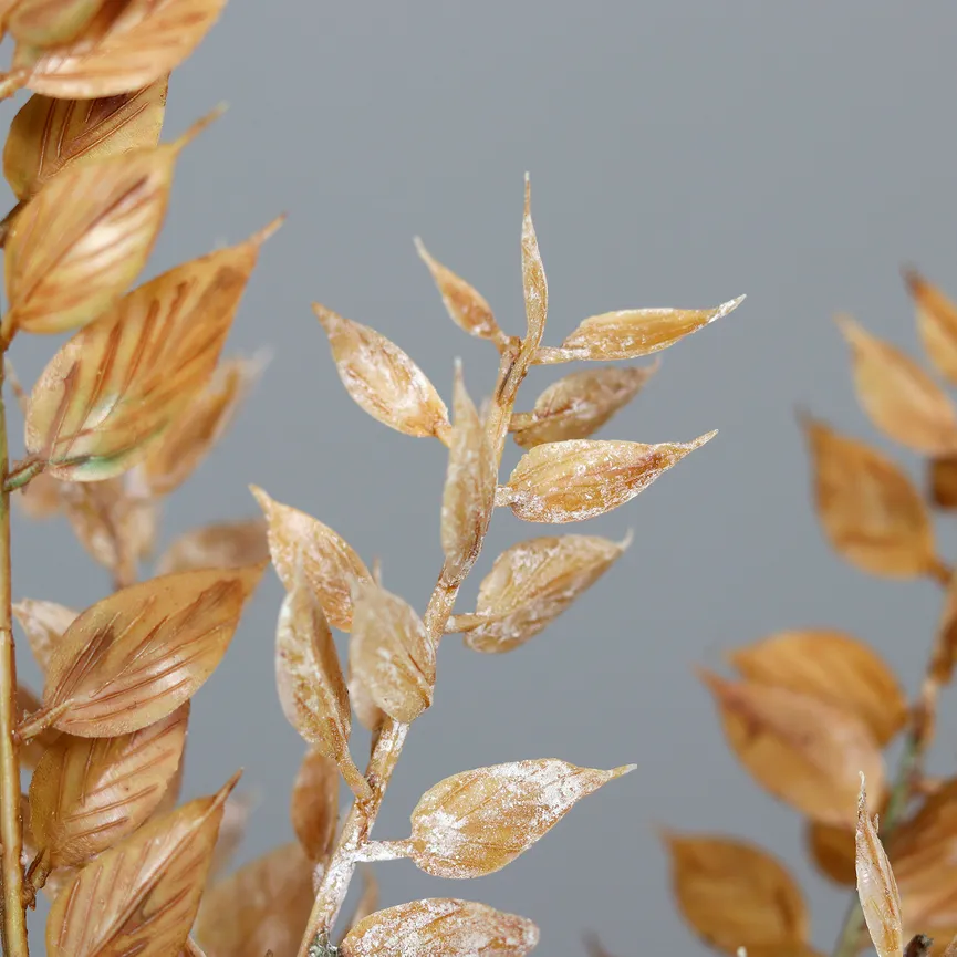 Ruscus Zweig cappucino detail
