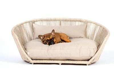 Hundesofa VOGUE
