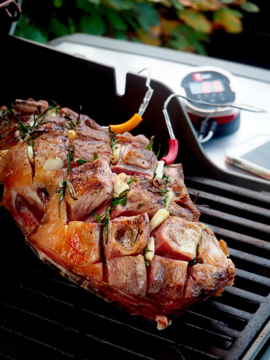 ** Weber iGrill Fühler detail