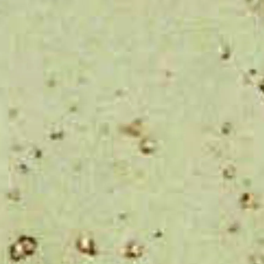 Kaffeeuntertasse material_farbe