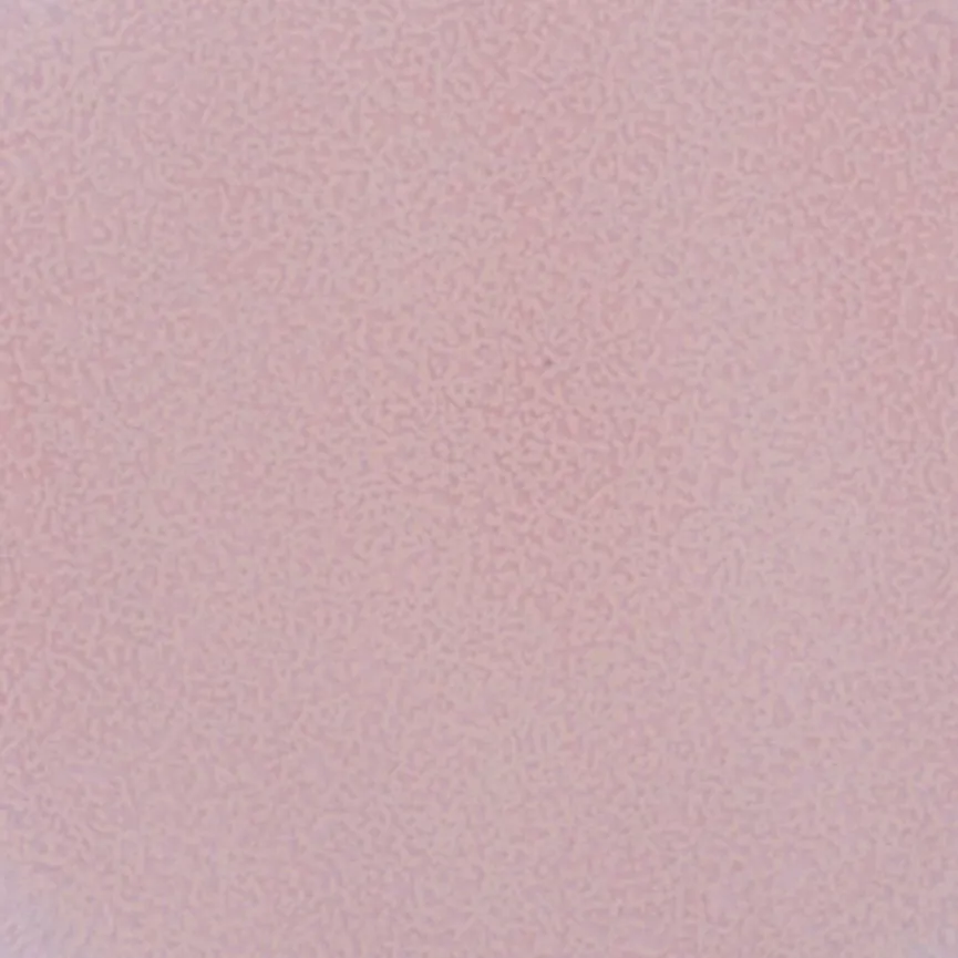 Speiseteller "Antonia" rosa material_farbe