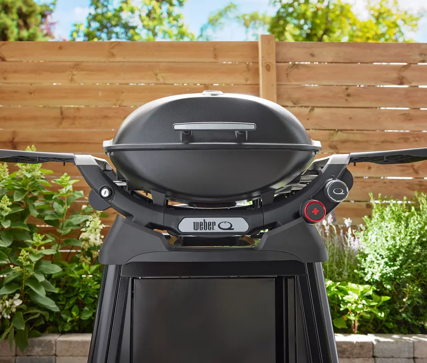Weber Q2800N+ detail