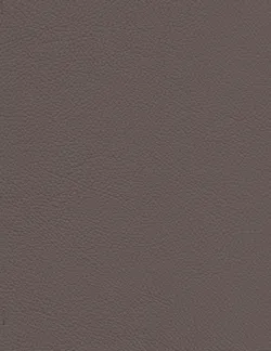 Taupe material_farbe