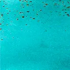 material_farbe