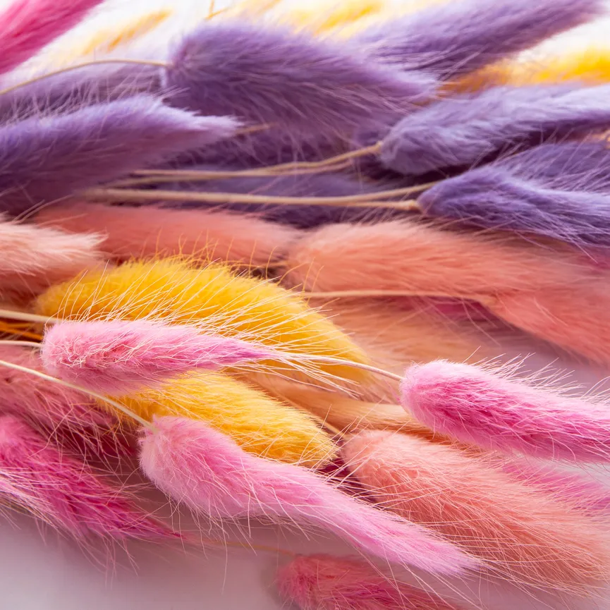 Strauß "Samtgras" detail