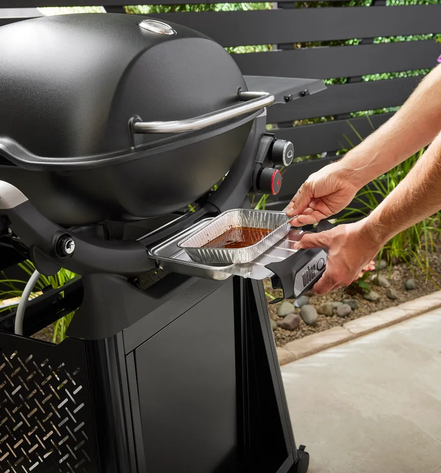 Weber Q2800N+ detail